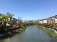 上海青浦【颐湾丽庭】项目分析,买过的人为什么这样说【官】