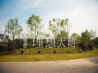 官网:嘉兴南湖区世合理想大地售楼处电话-售楼处位置-房价详情