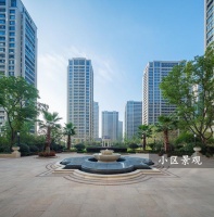 青浦【远洋西郊宸章】——原来如此震撼! 一般人还真想不到啊!