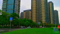 广州二手住宅成交持续攀升,今年首次有过半经理人看好后市