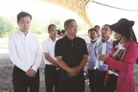 杨国宗调研文旅重点项目:全力推动大理旅游转型升级提质增效
