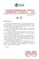 洞庭国际半岛公园:公告
