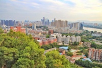 福州楼市:横盘两年后让刚需焦虑,专家建议买房宜早不宜迟