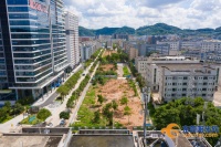 “金凤凰”又飞起来了!东莞这片杂乱地块将变身多功能休闲公园