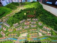 安吉悠隐南山售楼处电话—售楼处官网动态2020实时更新