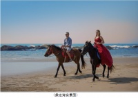 北纬22°,与夏威夷处于相同纬度!世界度假天堂——鼎龙湾