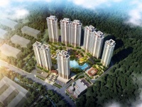 广东楼市:刚需客这类房别乱买,选房只看这几个板块