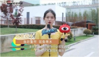 强强联手！如鱼得水窗帘精品联手新浪家居，共建行业服务新态势！