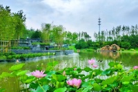 2020热点新闻首页:上海青浦恒大御澜庭售楼处电话—图文解析