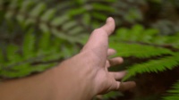 千年舟负离子净醛生态板,天然的空气净化器