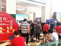 拉斯维加斯“圆梦之战”再开战,“雀神”瓜分圆梦大礼