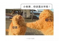 空调取暖不是你要的选择,试试电热膜地暖到底有多好