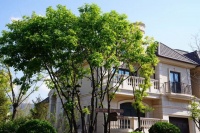 湖州南浔【绿城柳岸荷风】售楼处电话-地址-在售房源介绍