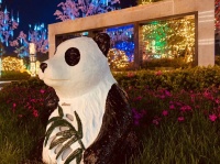 平湖【碧桂园蔚蓝售楼处地址电话位置】——【碧桂园蔚蓝售楼处】