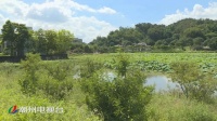 潮州将新建一座湿地公园 市民又多一处游玩好去处
