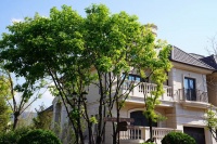 上海松江区【中海九峯里】售楼处电话,售楼处位置,详情!