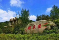 首页-安吉紫云东郡2020卖的这么火-真相解说-详情讲解