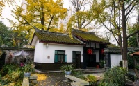 中国人的院子 居身亦居心