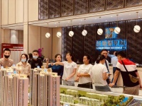 上演速度与激情,这个热搜大盘自带“红盘基因”!