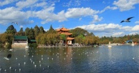 旅居养老哪里好?海南之后,是大理、腾冲,还是石林?
