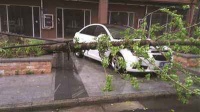 南充暴雨折断树木导致车辆损坏 小区物业是否应该理赔?
