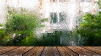 梅雨季强势来临，这样做才能快速打赢家居防潮保卫战！