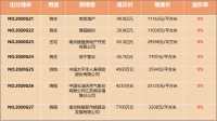 一场平静的百亿土拍 南京楼市冷暖与苏宁补仓