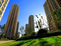 平湖市区盛世半岛售楼处?最新价格动态!项目解析!