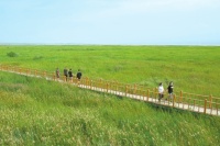 柴窝堡湖湿地公园有序开放