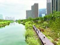 10个万亩以上森林组团遍布副中心 森林城市创建进入冲刺关头