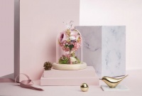 【云起&middot;百花湖】丨以花之名&middot;镌刻时光