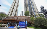 天空雲镜首度接房!硬核演绎大坪时代人居