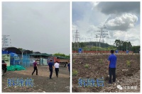 拆违进行时!塘厦拆除6处4610平方米违建
