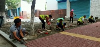 提升道路品质!济宁市打造红星路人行道样板路