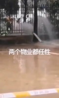 两小区互相排水多名业主私家车被泡?管委会称系误会