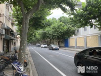 房龄90年、单价30万！上海学区房也疯狂，中介称“你来晚了”