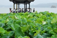 今天入伏了!杭州最低温仅22℃,出梅的日子还要再等?
