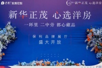 新华正茂,心选洋房|保利品牌展厅盛大开放