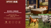 Yatsan央森：全球睡眠大师亮剑中国市场