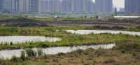 金隅地产首进上海内环 以8.58万元/平方米创下年内上海楼面单价地王
