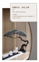 长沙新中式风格赏析,不拘一格的禅风意境