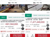 河南433亿集资案将拍卖23亿资产 判定欠19亿未还