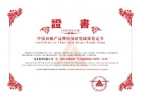 龙光集团荣居2020中国房地产公司品牌价值第12位