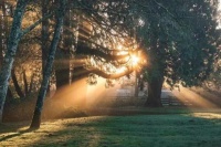 世外桃源——富力湾-淀山湖别墅实景曝光,简直是现代版桃花源!