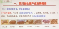 国产“猪芯片”危机？餐桌上的肉从哪里来 | 城事