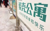 蛋壳要破了？