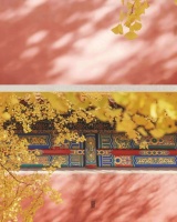 【和境】新中式诠释秋日诗意优雅