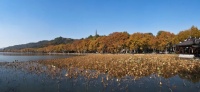 小长假,杭州西湖、西溪景区又有新玩法!还有多重福利,攻略收好
