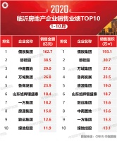 2020年1-10月临沂房地产企业销售业绩排行榜