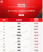 2020年1-10月唐山房地产企业销售业绩排行榜